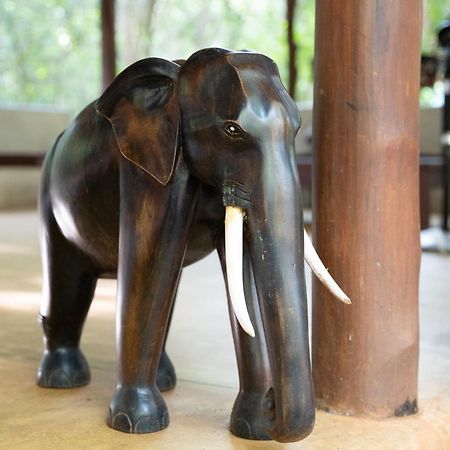 Kaala Kalaththewa Luxury Eco Resort Anuradhapura Exterior photo