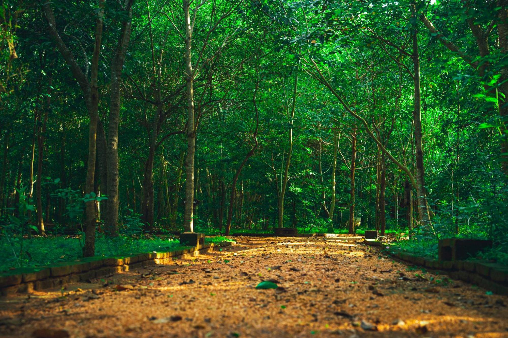Kaala Kalaththewa Luxury Eco Resort Anuradhapura Exterior photo